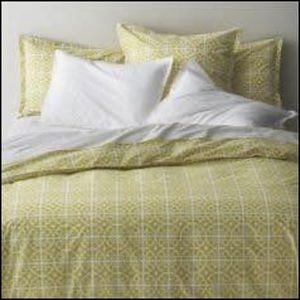 Crate & Barrel Queen Duvet Cover & Shams